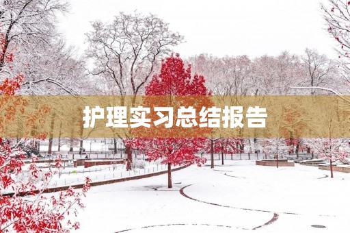 护理实习总结报告
