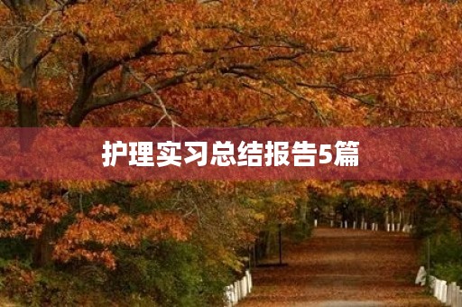 护理实习总结报告5篇