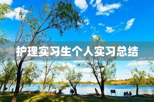 护理实习生个人实习总结