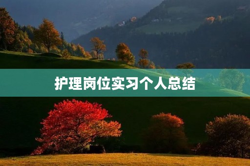 护理岗位实习个人总结