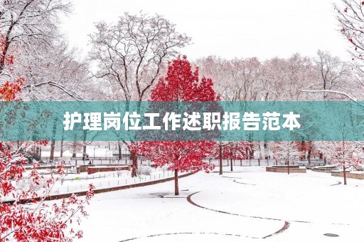 护理岗位工作述职报告范本