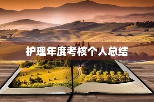护理年度考核个人总结