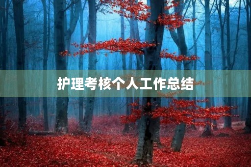 护理考核个人工作总结