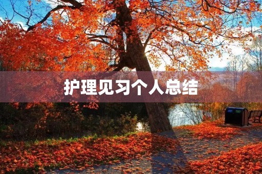 护理见习个人总结