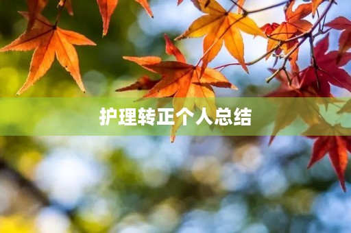 护理转正个人总结