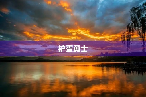 护蛋勇士