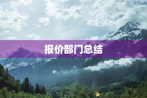 报价部门总结