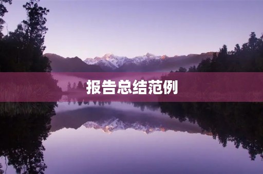 报告总结范例