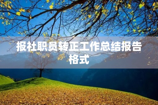 报社职员转正工作总结报告格式