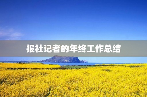 报社记者的年终工作总结