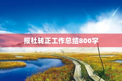 报社转正工作总结800字