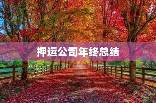 押运公司年终总结
