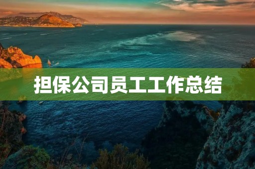 担保公司员工工作总结