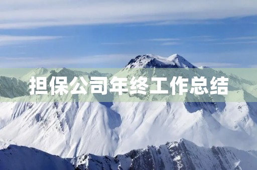 担保公司年终工作总结