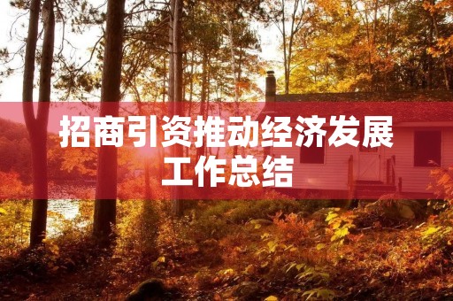 招商引资推动经济发展工作总结