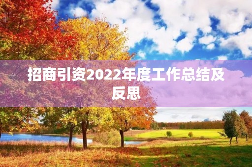 招商引资2022年度工作总结及反思