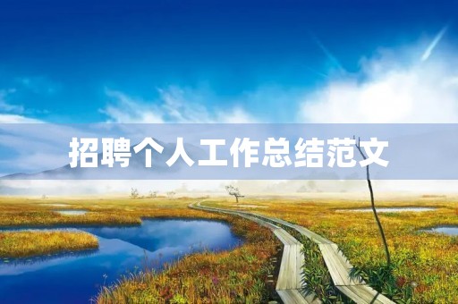 招聘个人工作总结范文