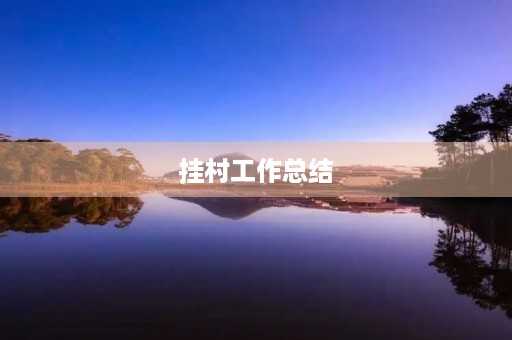挂村工作总结