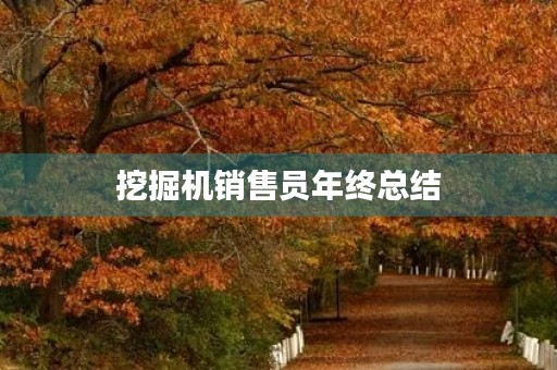 挖掘机销售员年终总结 挖掘机销售员年终总结