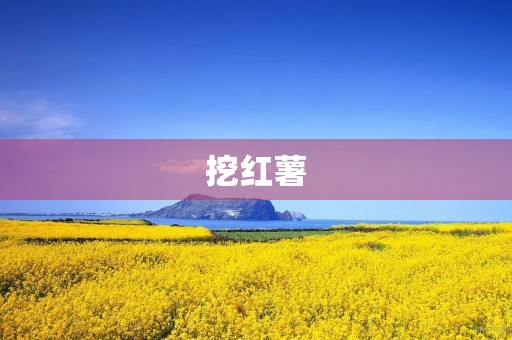 挖红薯 挖红薯