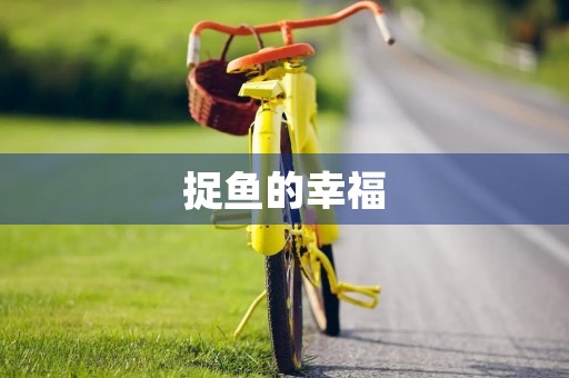 捉鱼的幸福 捉鱼的幸福