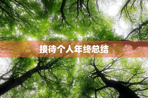 接待个人年终总结