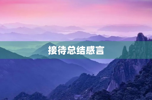 接待总结感言 接待总结感言