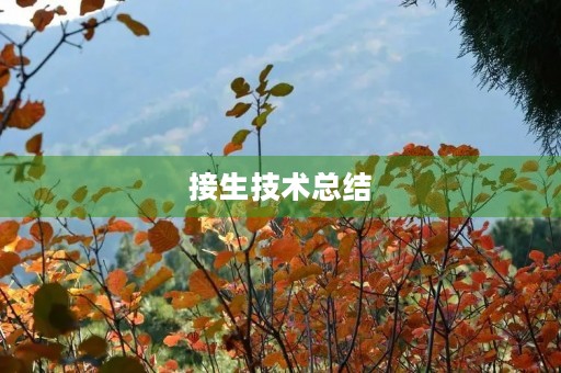 接生技术总结