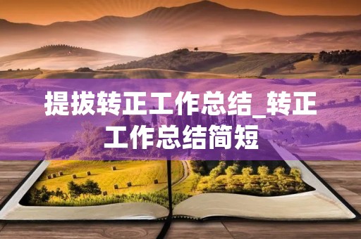 提拔转正工作总结_转正工作总结简短