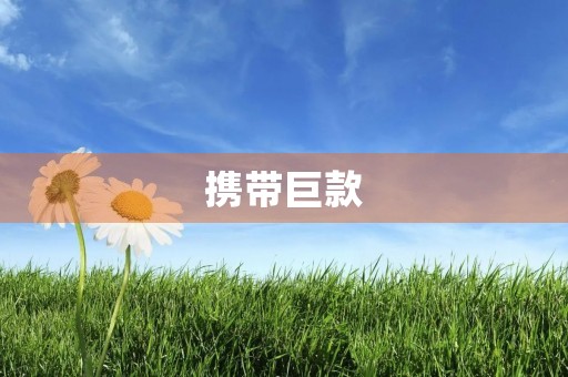 携带巨款 携带巨款