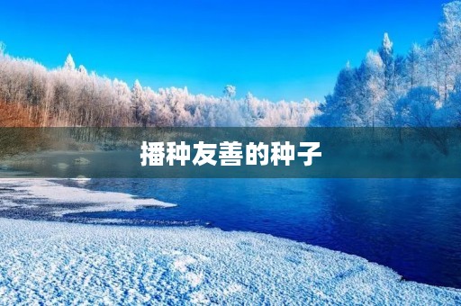 播种友善的种子 播种友善的种子