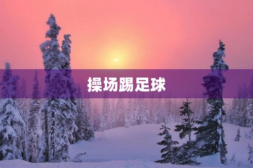 操场踢足球