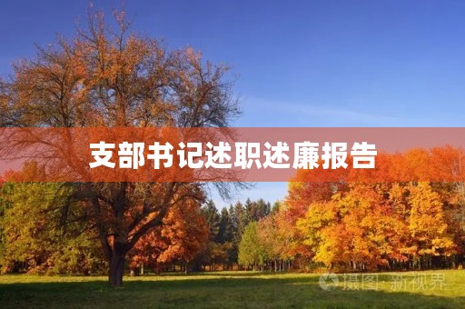 支部书记述职述廉报告(10篇) 支部书记述职述廉报告(10篇)