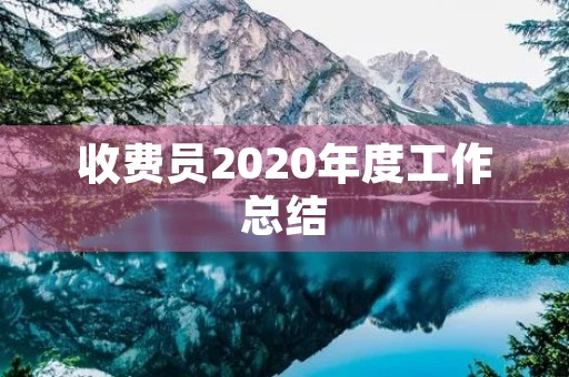 收费员2020年度工作总结