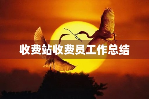 收费站收费员工作总结
