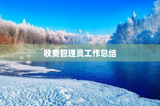 收费管理员工作总结