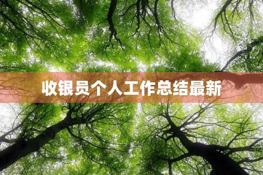 收银员个人工作总结最新