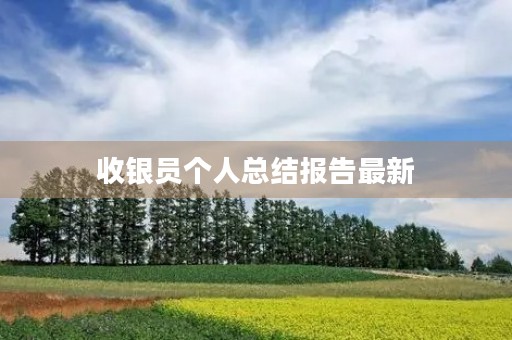 收银员个人总结报告最新