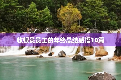 收银员员工的年终总结感悟10篇