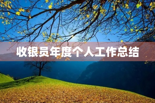 收银员年度个人工作总结