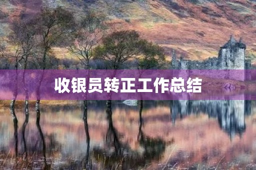 收银员转正工作总结