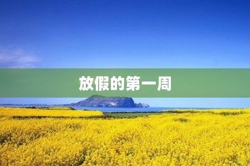 放假的第一周