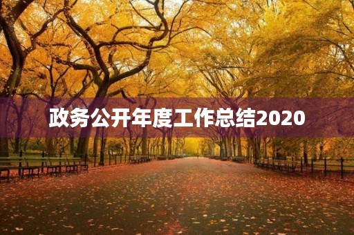 政务公开年度工作总结2020
