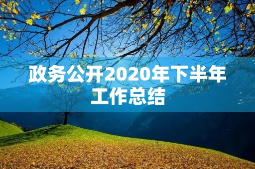 政务公开2020年下半年工作总结 政务公开2020年下半年工作总结