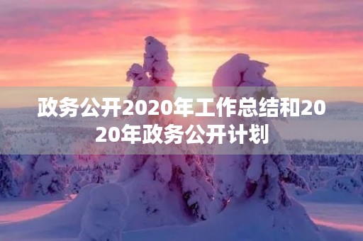 政务公开2020年工作总结和2020年政务公开计划