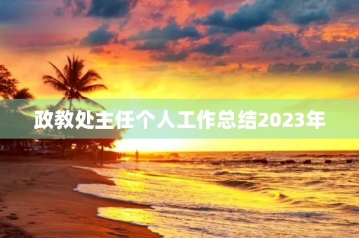 政教处主任个人工作总结2023年 政教处主任个人工作总结2023年