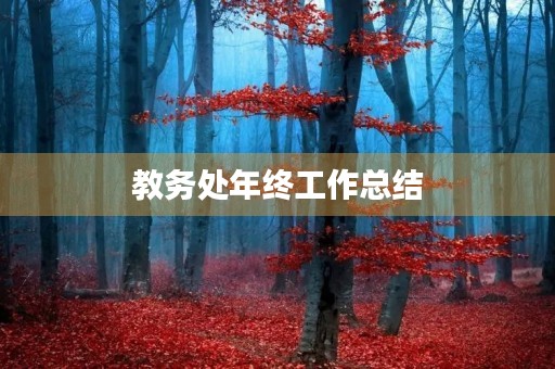 教务处年终工作总结