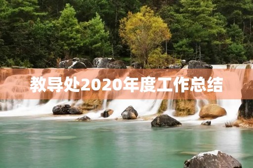 教导处2020年度工作总结
