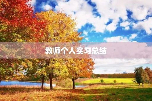教师个人实习总结
