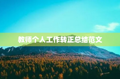 教师个人工作转正总结范文